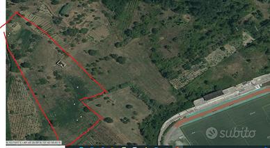 Vendita terreno