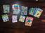 Immagine 5