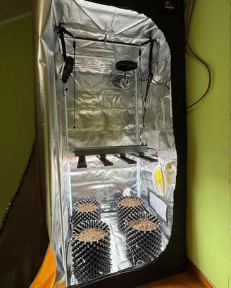 Grow box