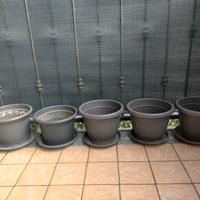 5 vasi con sottovaso / piatto per piante usati 