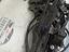 Immagine 21