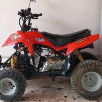 quad 110 4t 