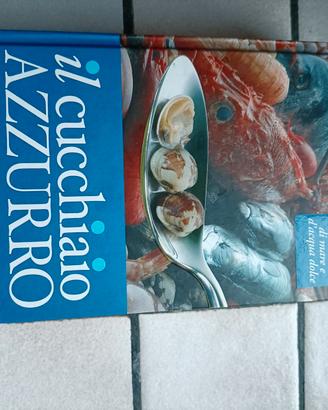 Il cucchiaio azzurro