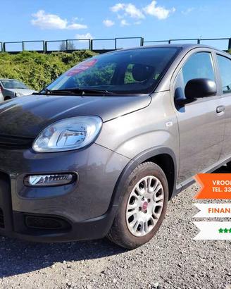 FIAT Panda 3� serie Panda 1.0 FireFly S&S Hybrid