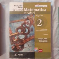 Nuova matematica a colori algebra 2