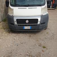 camper puro