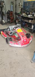 Motore gokart tm kz10