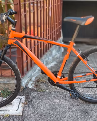 Mountain bike 