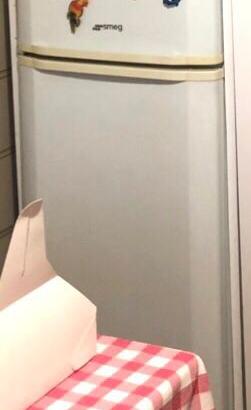 Frigo Smeg+Girarrosto-Vario