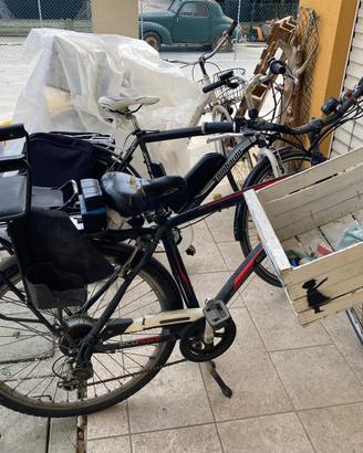 bicicletta elettrica