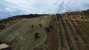 terreno-agricolo-localita-barone