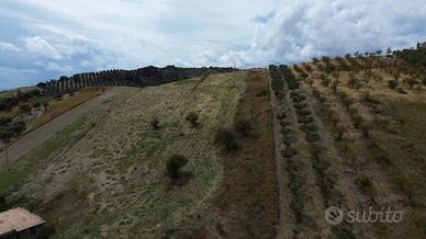 Terreno agricolo località Barone