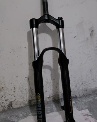 rockshox domain 