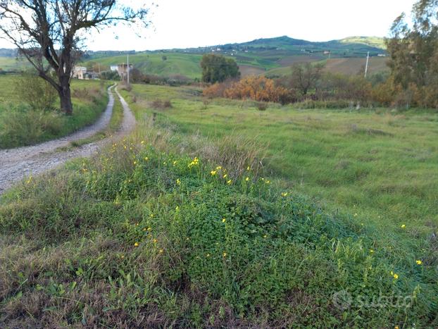 Terreno contrada Borsellino