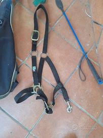 Capezza frustino per equitazione monta western