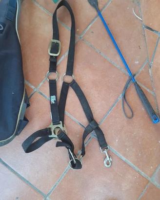 Capezza frustino per equitazione monta western