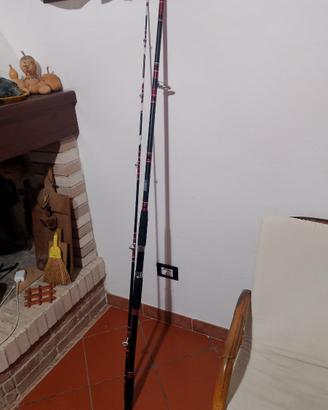 Canna da pesca 
