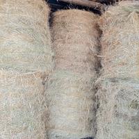 rotoli 120x120