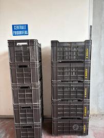 Imballaggio in plastica per frutta e verdura