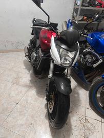 HONDA HORNET BARRACUDA