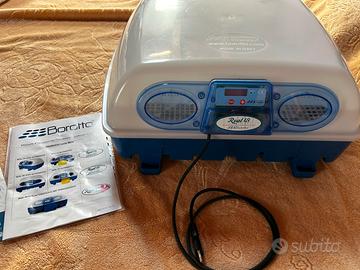 Incubatrice Borotto Real49