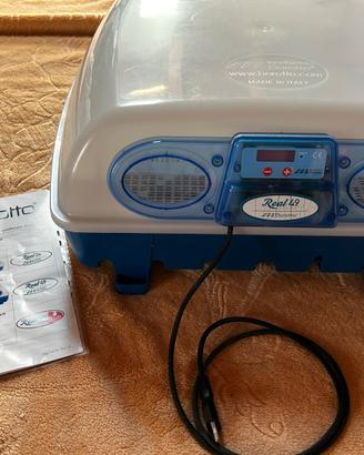 Incubatrice Borotto Real49