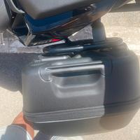 Borse Honda hornet 750