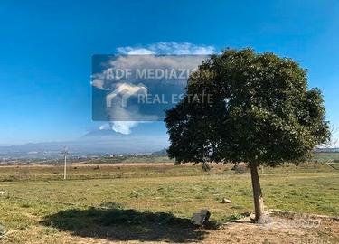 Terreno Agricolo Con Uliveto