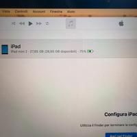 IPad mini 2 Wi-Fi e Cellular 32Gb