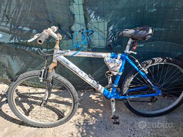 Bicicletta per il mare