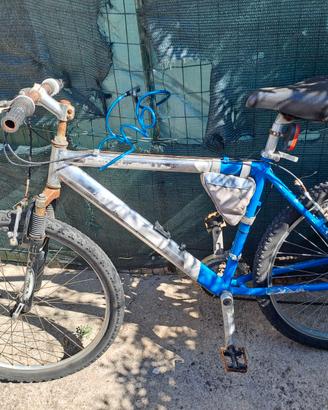 Bicicletta per il mare
