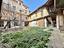 Immagine 11