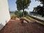 Immagine 11