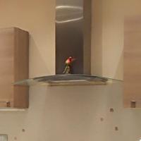 Cappa aspirante 90cm