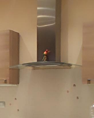 Cappa aspirante 90cm