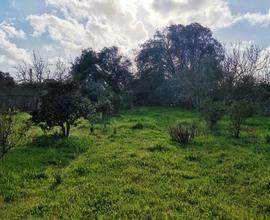 Terreno edificabile a Silì