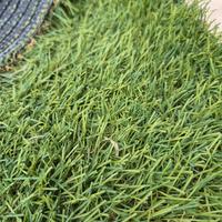 Prato verde sintetico