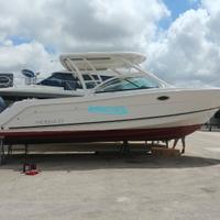 Robalo R317