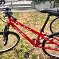 Bicicletta ragazzo Turmac Legnano