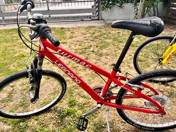 Bicicletta ragazzo Turmac Legnano