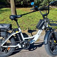 Bici Elettrica ENGWE L20