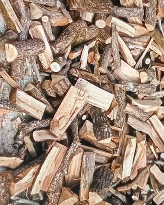 legna secca 