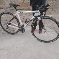 Bicicletta da corsa sacarelli - carbonio