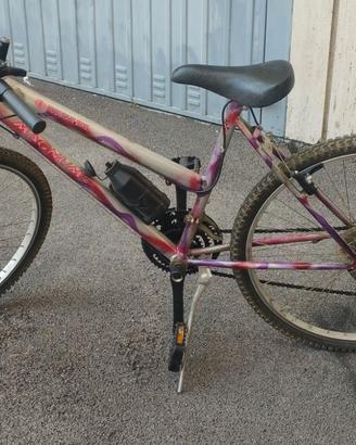 mountain bike
