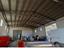 Immagine 7