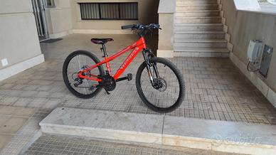 bici Mountain bike Moma24