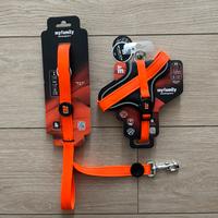 Guinzaglio e pettorina