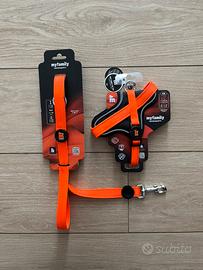 Guinzaglio e pettorina