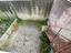 Immagine 29