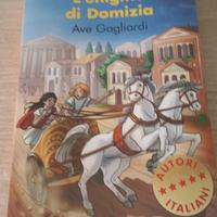 L'enigma di Domizia